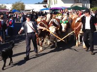 Désalpe 27 September 2014 Les Charbonnières